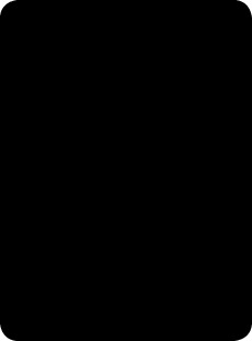 421 Черный