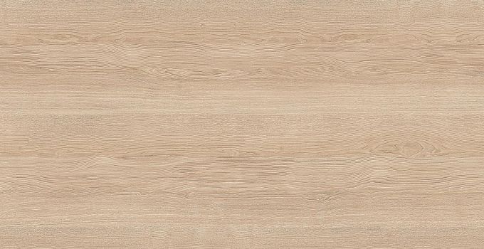 Terry Oak 8382