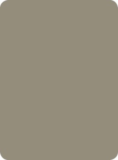 868 Grigio Medio