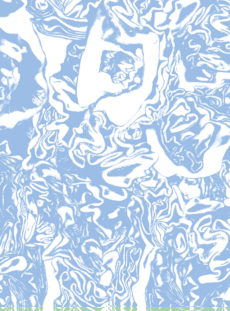 6266 Cabbage 03 Light Blue