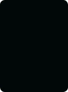 2902 Чёрный