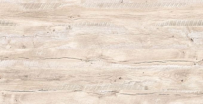 Canadian Oak 3851