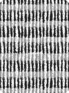 5740 Betulla B/W