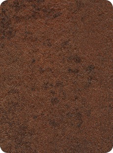 2811 Mongolia