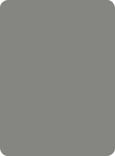 870 Grigio Lastra