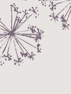 2835 Neige