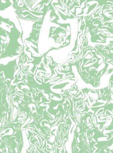 6265 Cabbage 02 Mint