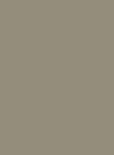 868 Grigio Medio