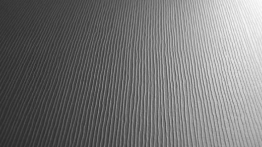Longline