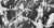 Platanar 8141