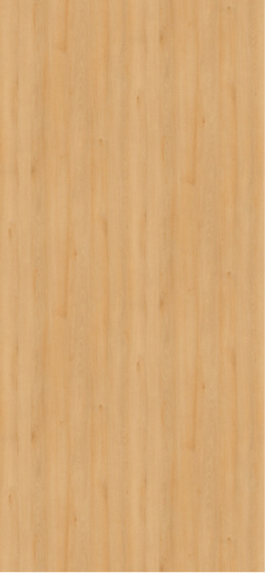 Бук луговой H1910 ST9