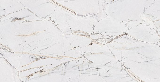 Sandy Quartzite 8104